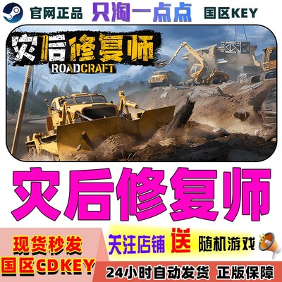 Steam游戏灾后修复师激活码现货