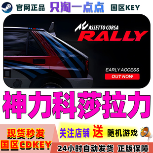游戏 Rally国区激活码 神力科莎拉力 Corsa Assetto Steam正版