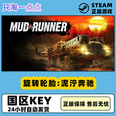 steam正版国区旋转轮胎泥泞奔驰