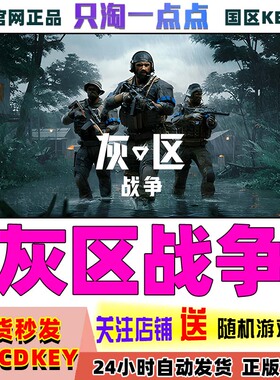 Steam正版游戏 灰区战争 Gray Zone Warfare 国区激活码现货秒发