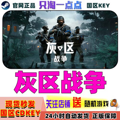Steam游戏灰区战争国区激活码