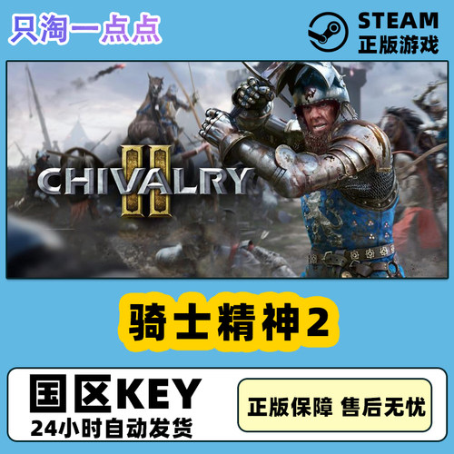 steam骑士精神2激活码现货
