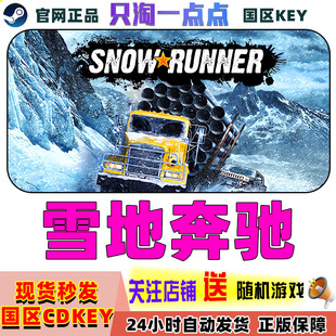 正版 中文CDKey 国区激活码 SnowRunner 现货秒发 雪地奔驰 Steam