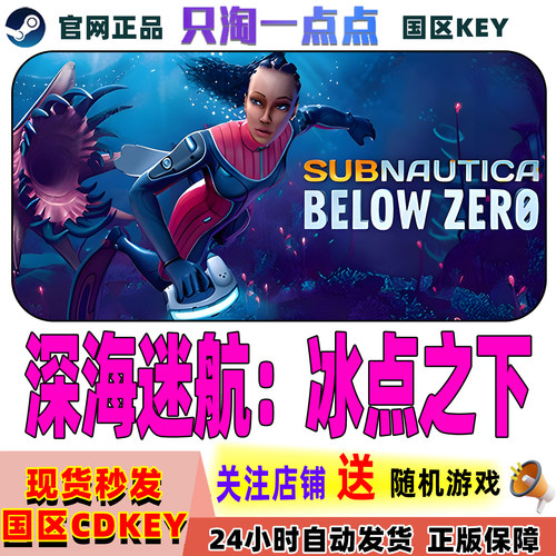 steam深海迷航冰点之下激活码