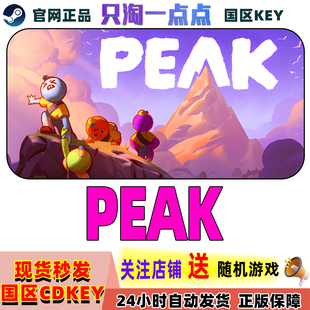 Steam正版游戏 PEAK 拉我一把 国区激活码