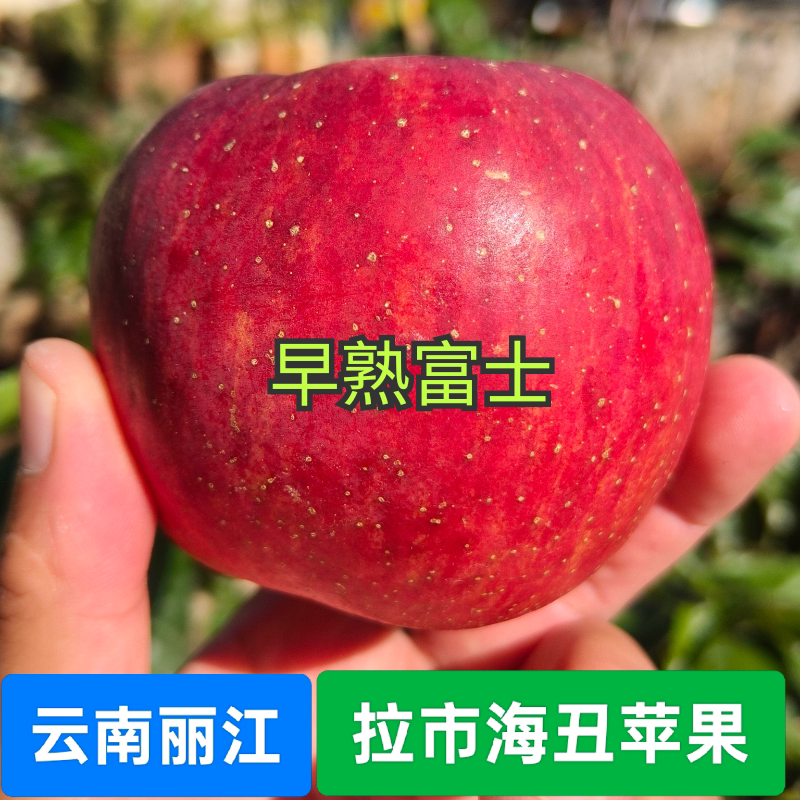 新鲜当季香脆甜冰糖菠萝心正宗高苹果