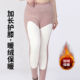 肥高腰秋裤 2025新品 加厚双面绒保暖裤 女士护膝护腰秋裤 200斤 大码