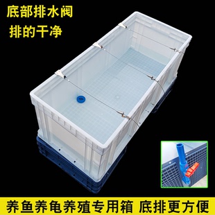 加厚周转箱底部排水养龟箱超大养鱼养殖盆底部排水阀塑料箱