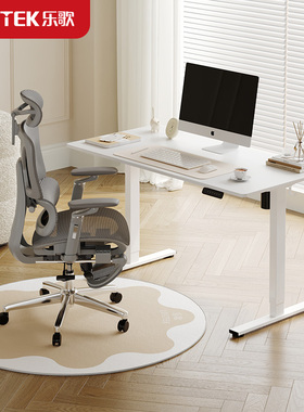 乐歌DD02地垫椅垫电脑椅垫防滑耐磨脚垫家用防滑垫简约风