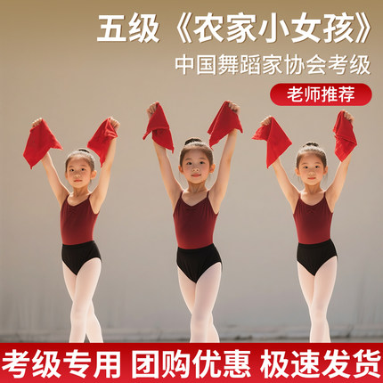 五级农家小女孩手绢花舞蹈考级专用四级大公鸡爱美丽秧歌八角巾
