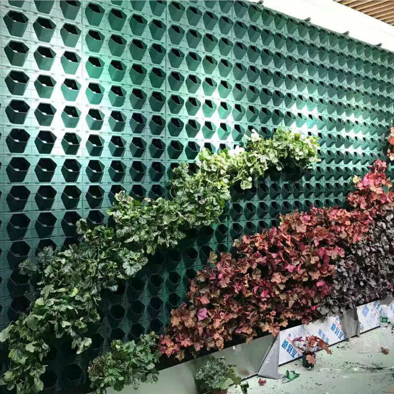 阳台植物墙花园布置垂直绿化容器真生态绿植墙蜂巢智能式自动浇灌