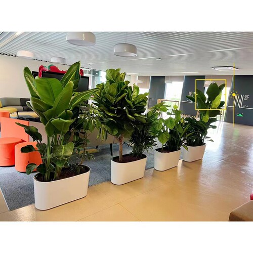 室内隔断花盆底座带轮长方形大型绿植造景花盆高档懒人自吸水花i.