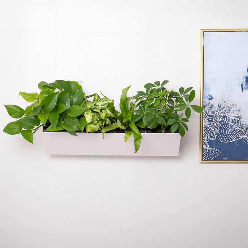 壁挂花盆挂墙植物墙花槽挂在墙壁上的绿萝懒人盆储水壁挂式免打孔