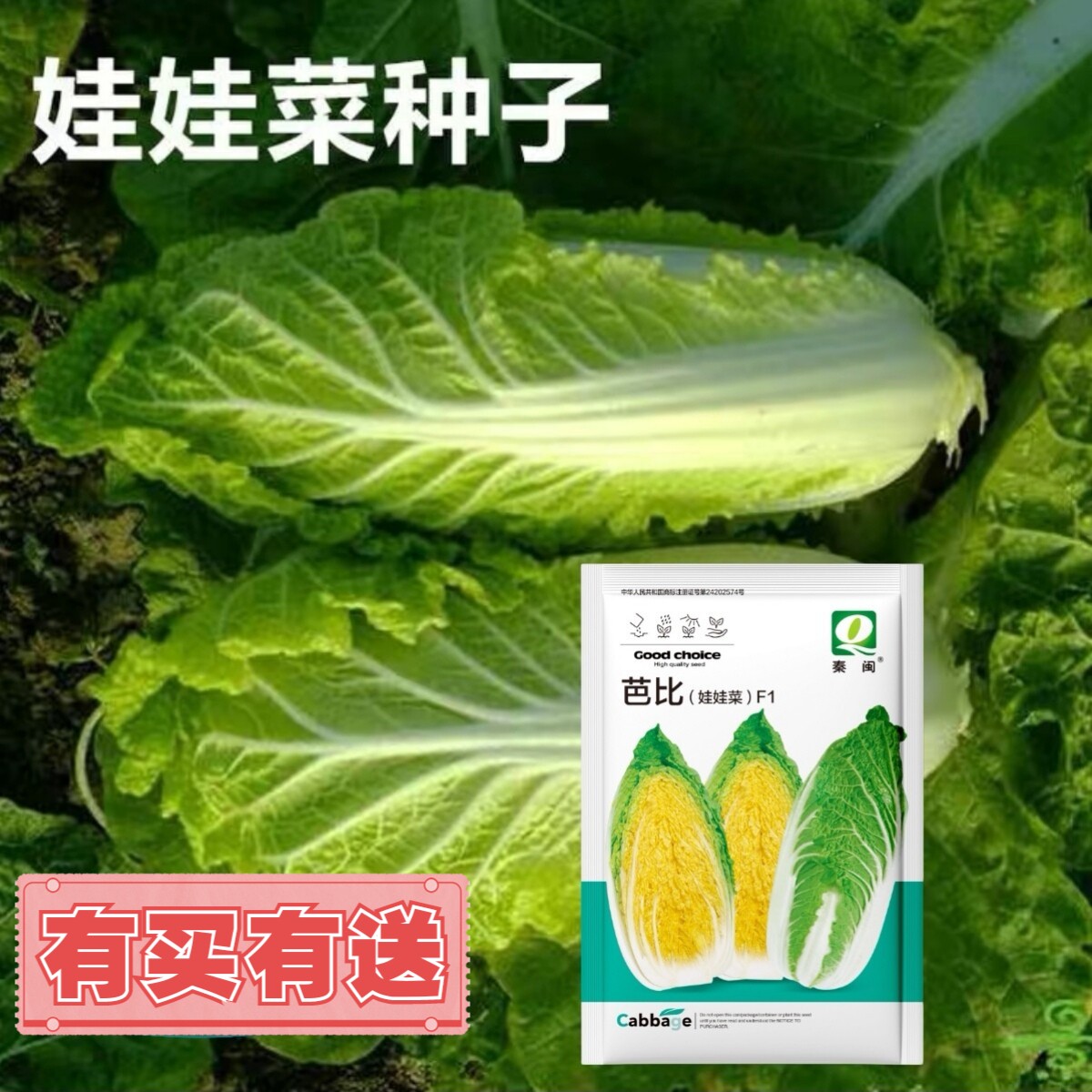 芭比娃娃菜种子四季金娃娃菜蔬菜种子生长快品质佳菜籽春夏秋播种