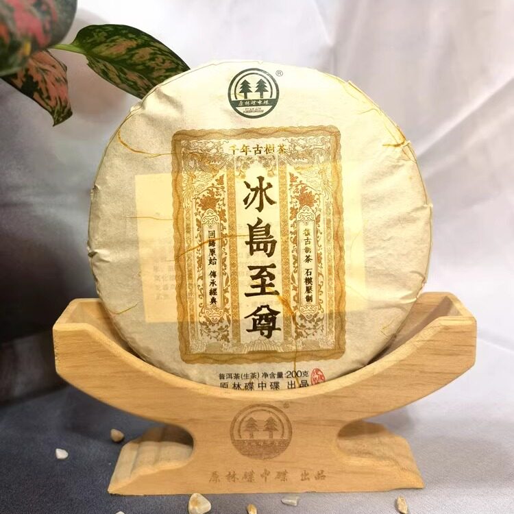 原林碟中碟 2018年冰岛老寨至尊单株古树茶 普洱茶 七子饼茶 生茶