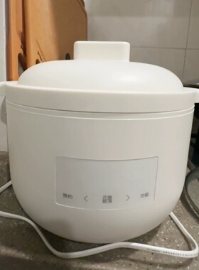 olayks立时电炖锅宝宝煮粥锅婴儿辅食锅bb煲汤燕窝电炖盅隔水炖