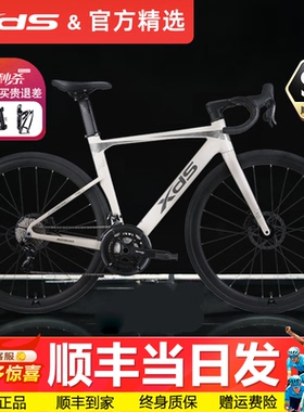 喜德盛AD300公路自行车油压碟刹全内走线破风车架20速桶轴