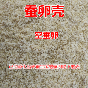 蚕卵壳蚕子壳已孵化蚕卵壳空蚕籽壳蚕脱衣蚕蜕衣蚕退纸包邮