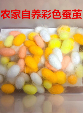 天然彩色蚕茧蚕茧壳手工美容