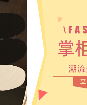 适配万斯vans板鞋透气吸汗鞋垫