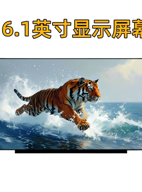 NE161QHM-NY1 NZ1 N161HCA-GA1 EA3 N161HMA-GA1屏幕144HZ 240HZ