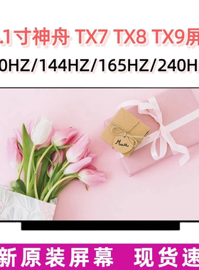 适用神舟TX7 TX8 TX9炫龙DD3 TX6T-CU5DA K670t-G6A NE161QHM屏幕