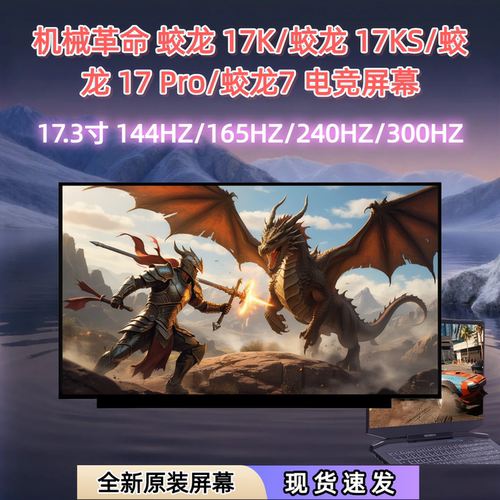 机械革命蛟龙17K17Pro电竞屏幕