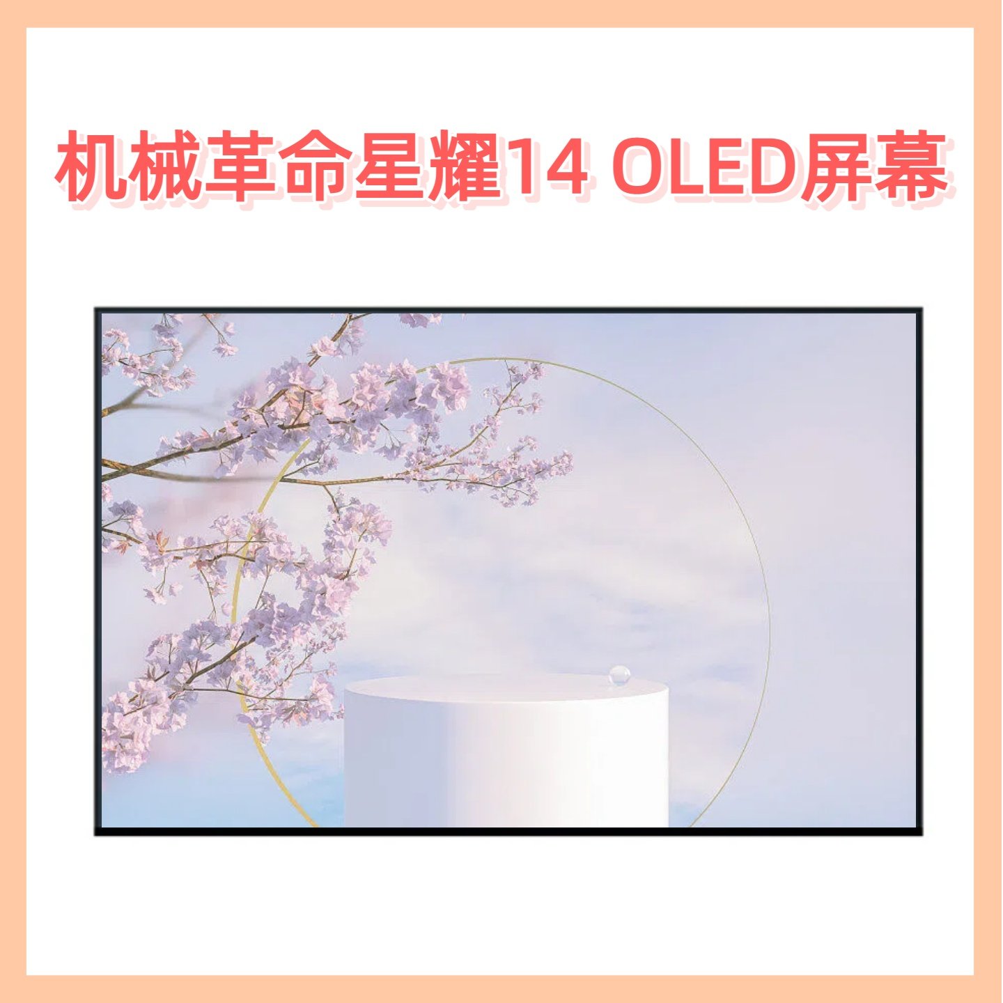 机械革命星耀142.8KOLED屏