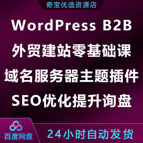 WordPress B2B外贸建站零基础课域名服务器插件SEO优化提升询盘