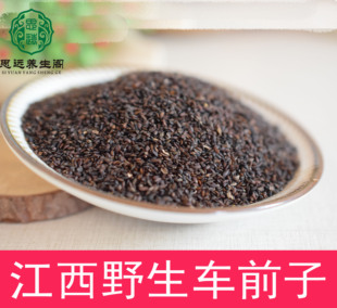 中药材车前子 车前草的种子 500克