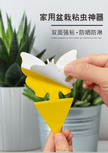 粘虫板物理杀虫双面可写字记录