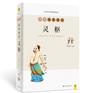用通俗易懂 图解黄帝内经·灵枢现代中医理论和针灸学发展 150余张流程图表 以250余幅手绘插画 语言 核心著作