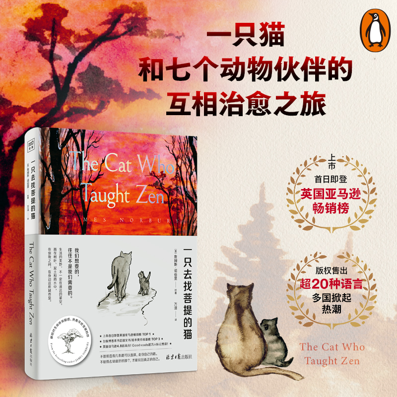一只去找菩提的猫：一本从9岁读到99岁的人生哲思绘本， 向你讲述禅宗哲学的精髓，带你找到内心的无限平静和美丽人生的秘诀