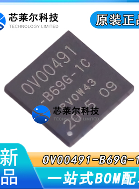 全新正品OV00491-B69G-1C BGA169(7x7)封装 紧凑型图像信号处理器