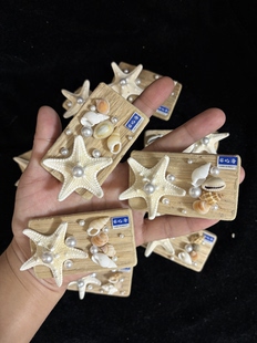 涠洲岛 北海贝壳冰箱贴 漂浮木 海星冰箱贴 做旧船木 小红书同款