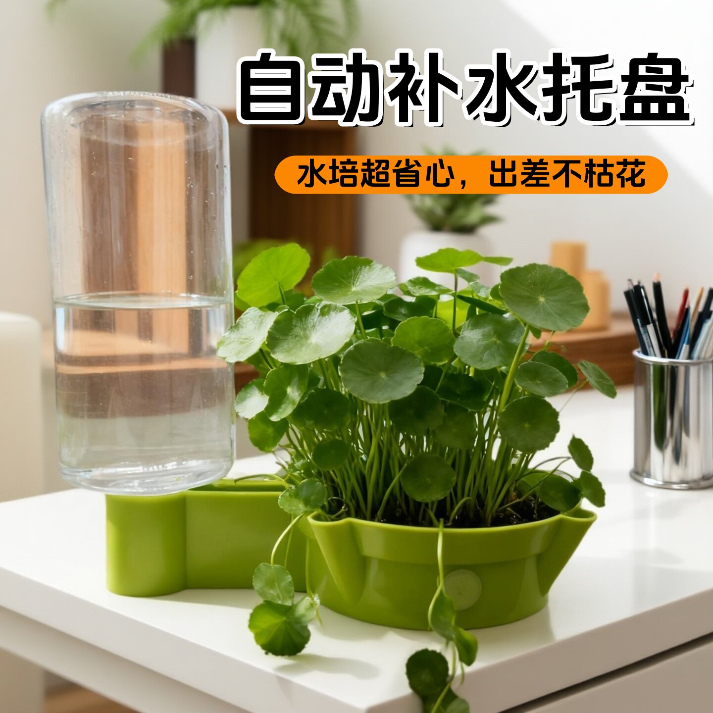 自动浇花，懒人水培花盆/托盘