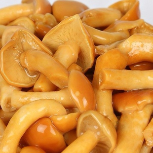 东北特产滑子菇新鲜滑子蘑滑菇珍珠菇保鲜水袋清炒煲汤涮火锅
