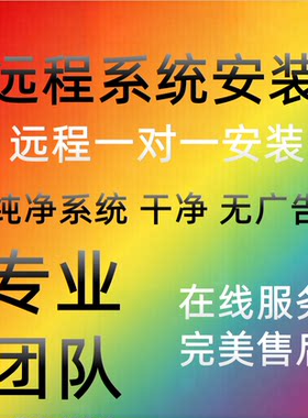 远程安装电脑系统重装win10/11/7纯净版专业版台式笔记本升级刷机