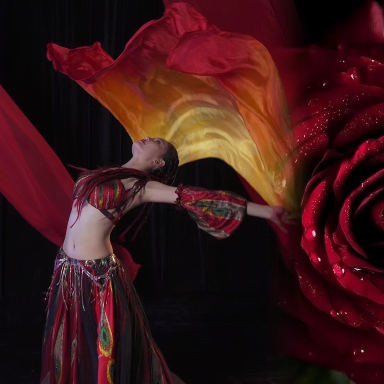 李晶晶肚皮舞东西舞表演服