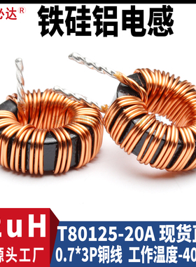 大电流磁环电感80125-22uH20A储能扼流线圈环形滤波大功率电感