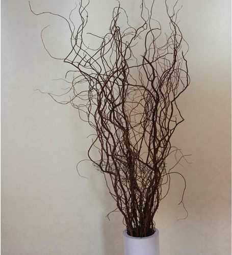 曲柳干枝销量排行榜 曲柳干枝品牌热度排名 小麦优选