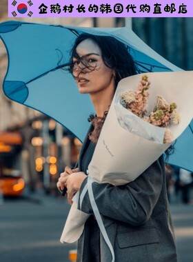 韩国直邮代购blunt英伦水果糖果色折叠花束雨伞太阳伞防晒遮阳伞