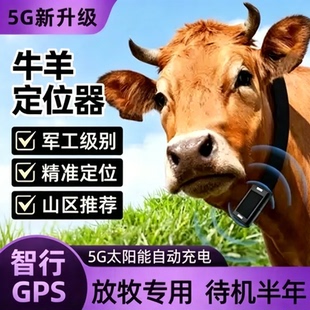 牛羊定位器山区放牧专用gps北斗卫星追踪神器动物防丢追跟马定仪