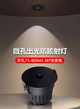黑色微孔交叉出光射灯led嵌入式7W10W12W开孔75mm8公分防眩无主灯