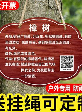 树牌挂牌植物树木名称简介牌花草树木介绍吊牌公园景区树木展示牌