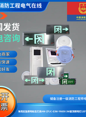 海湾应急照明标志灯具HW-ZFJC-E3W-YN650 3W嵌顶照明灯135*27.5mm