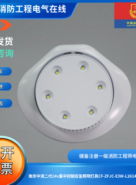 南京中消二代36v集中控制应急照明灯具CF-ZFJC-E3W-L2614壁挂式