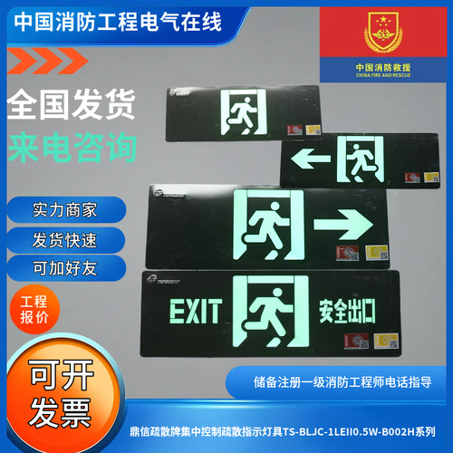 鼎信原厂正品集电集控疏散指示灯具TS-BLJC-1LEII0.5W-B002H系列