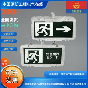 ACJ 3B防爆系列 浙江中川DC36V集电集控防爆疏散标志灯ZC