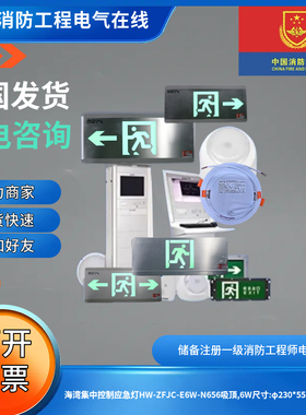 海湾集中控制应急灯HW-ZFJC-E6W-N656吸顶,6W尺寸:φ230*55mmIP30